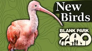 New Birds in the Discovery Center | Blank Park Zoo
