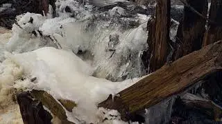 Forests falls / Forests river / Frozen falls / Замёрзший ручей / Весенний ручей (2022. march)