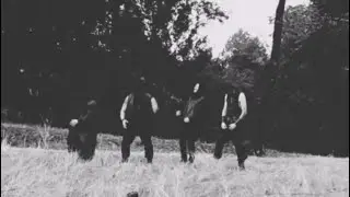 BURNING GRAVE - Sworn In Unholy Smoke (demo) Tour Recap 11/9/24 - 11/23/24