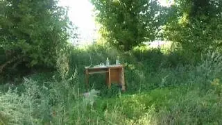 Umarex Steel Storm test