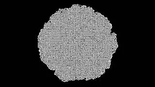 Cellular Automaton: Mazectric - B3/S1234