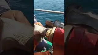 seizing wire coupling