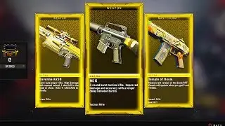 I opened 160 Supply Drops and then this happened...