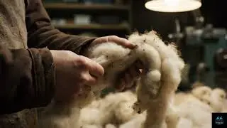 Inside the Sheep Wool Processing Factory - How Sheep Wool Become Luxury Material
