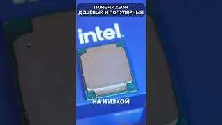 🤷&zwj;♂️ Why is Intel XEON so CHEAP and POWERFUL and POPULAR?