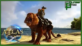 Atlas 11 - TAMING A TIGER! HOW TO TAME A TIGER!