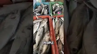 What is the secret of success #freshfishmarket  #fishing  #seafood  #youtubeshort  #viralshorts
