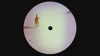 Straylight - Nitrogen