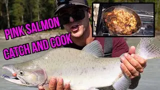 PINK SALMON Fishing! Squamish river (EPIC Catch And Cook)