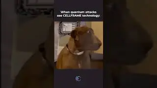 When quantum attacks see CELLFRAME technology  #crypto #cellframe