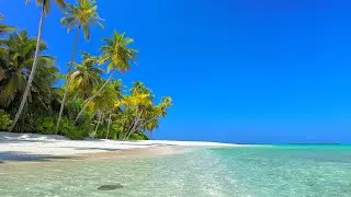 Fall Asleep In 5 Minutes With Ocean Sounds. Ocean Waves on a Tropical Island in Maldives