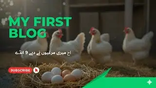 Aj meri murgio na dia 9 eggs #foryou #unfrezzmyaccount #rajabbutt #duckybhai10million subscriber