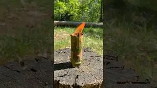 A candle made from something I found in the forest😎 #survivalhacks #camping #skills #asmr