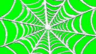 Web spider greencsreen