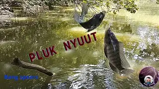 SORGA BAGI PARA ANGLER