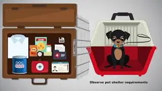 Disaster Supply Checklist | AARP Florida | Hurricane Preparedness