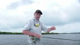 Three Tips For Playing A Tarpon