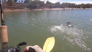 KAYAK SALTWATER CREEK FISHING - Pilbara Region Western Australia
