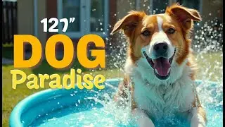 120'' Foldable Dog Pool Review | Durable & Safe for Large Dogs