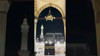 صلاة الفجر للشيخ #بدر_التركي | من سورة الشورى | الأربعاء ١٨ / ٧ / ١٤٤٧ هـ