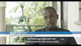 Publiek-private partnerschap FoodTechAfrica in Kenia voor verse en betaalbare vis in Kenia.