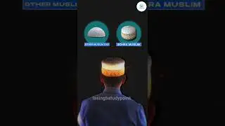 if you know any Bohra muslim | #shorts #muslim