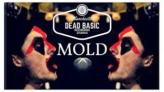 MOLD | The Death Suite at Dead Basic Studios