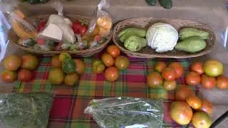 SALCC Signs A Deal With Renwick & Co. And Duwest Caribbean To Help Agriculture Students