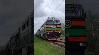 Очень приветливая 2ТЭ116У-0193 