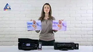 Epson L456 против XP-810. Сравнительный обзор.