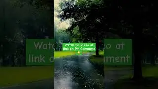 Heavy Rain on Empty Road Next to Rainforest | Rain Sounds for Sleeping | Sleeping Sounds Rain