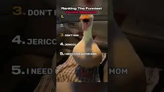 Ranking The Best Ducks Funniest Moments