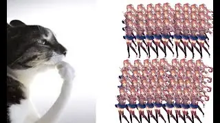monika duplication experiment
