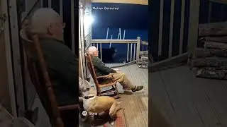 Caught on Porch Cam: Elder vs. Midnight Bear! dog, cat #funny #comedyshorts #viralvideo