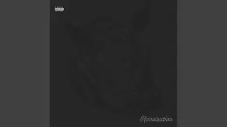 Rhinoduction