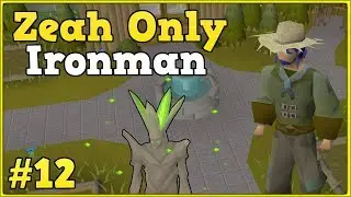Теперь я мастер-фермер &mdash; Zeah only ironman #12