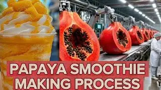 Factory Inside :The process for smoothly packing | Fruit Packing Process | Science & Technology |DIY