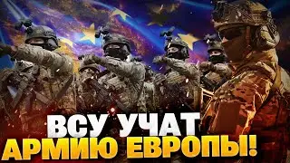 ВСУ учат армию Европы! Как Скандинавия укрепляет ПВО!
