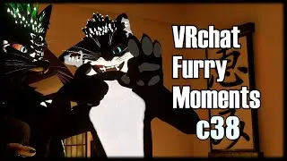 VRchat Furry Moments(38)