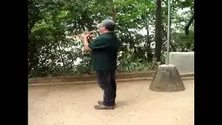 Trecho do hino &agrave; bandeira