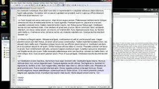 HTML2