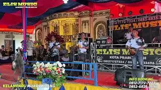 Camelia 1 / ELIS MUSIK / Live Desa Kelampadu Muara Kuang