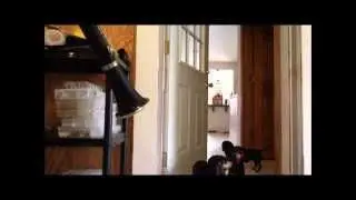 Clarinet Play Test