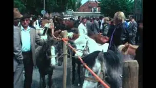 Rijnsburgse Paardenmarkt 1976