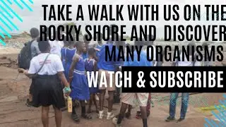 A walk on the Iture Rocky Beach (Cape Coast) with Dr. Margaret Fafa Awushie Akwetey