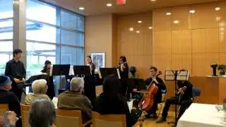 The Vision of Escaflowne - Hitomi Theme
