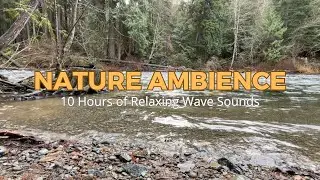 Relaxing River Sounds (Canada Nature) #relaxingnaturesounds #relax #relaxing #sleepsounds