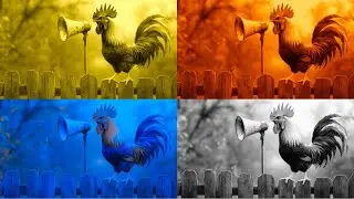 FUNNY ROOSTERS. COFFIN DANCE. EXE 4 COLORS 4 MUSIC