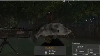 Fishing Planet | How To Catch Black Drum At Blue Crab Island Mississippi
