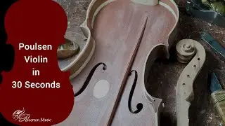 A Poulsen Professional Violin in 30 Seconds - Riverton Music